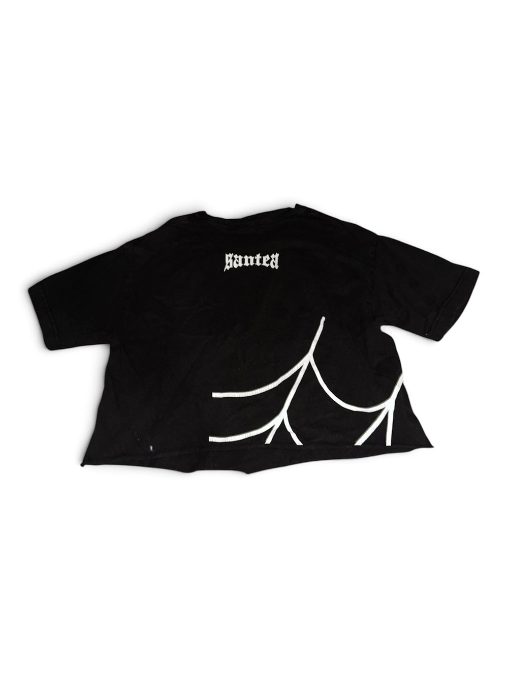 Santea Black Spider Graphic Cropped Tee Size M